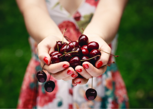 Indivduelles Paket Obstland Ehlers