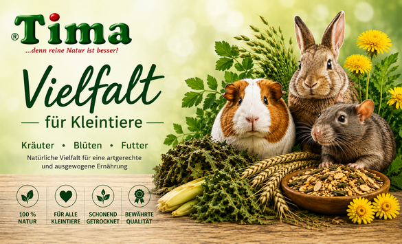 Adv Banner